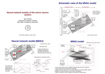 Schematic view of the MNS1 model  Posterior cortex  Frontal cortex  Role of PFC in  Neural network