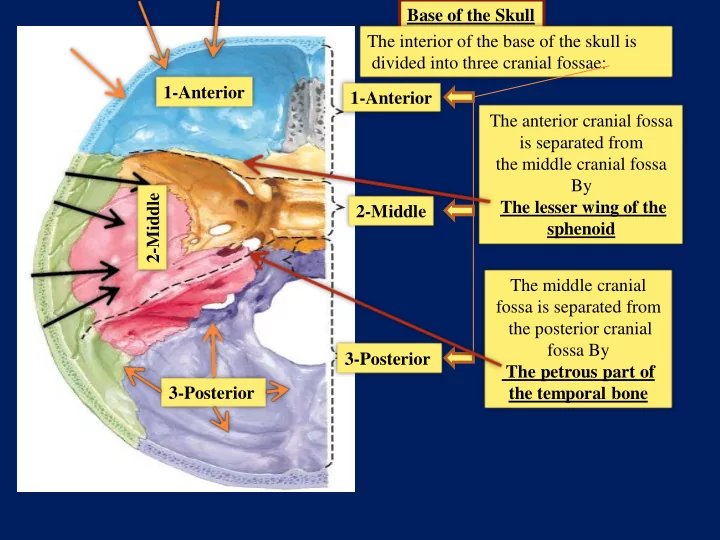 divided into three cranial fossae