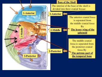 divided into three cranial fossae:  1-Anterior  1-Anterior  The anterior cranial fossa  is