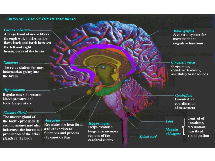 stryker s summary of si 8 key points