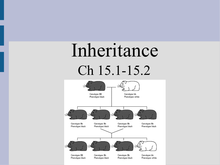 inheritance