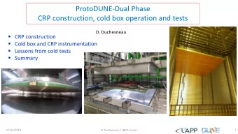ProtoDUNE-Dual Phase  CRP construction, cold box operation and tests  D. Duchesneau  CRP