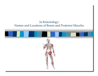 2a Kinesiology:  Names and Locations of Bones and Posterior Muscles  2a Kinesiology: