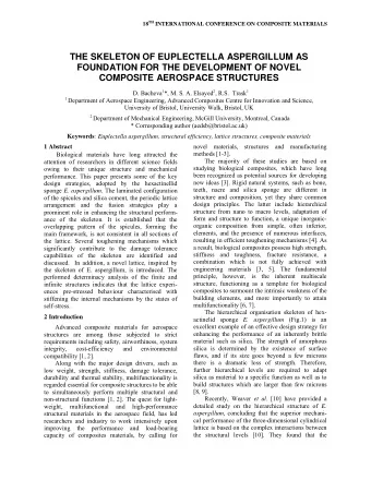 THE SKELETON OF EUPLECTELLA ASPERGILLUM AS  FOUNDATION FOR THE DEVELOPMENT OF NOVEL  COMPOSITE