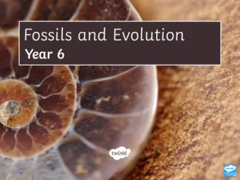 Learning Objective  Aim  To understand how fossils can be used to give us information about