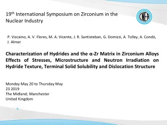 19 th International Symposium on Zirconium in the  Nuclear Industry  P. Vizcaino, A. V. Flores, M.