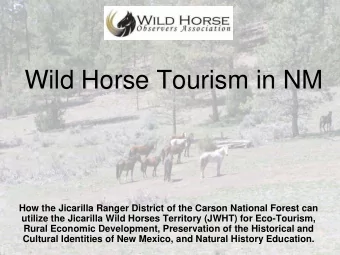 Wild Horse Tourism in NM  Wild Horse Tourism in NM  How the Jicarilla Ranger District of the Carson