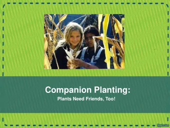 Companion Planting:  Plants Need Friends, Too!  What is Companion Planting?  Planting two or