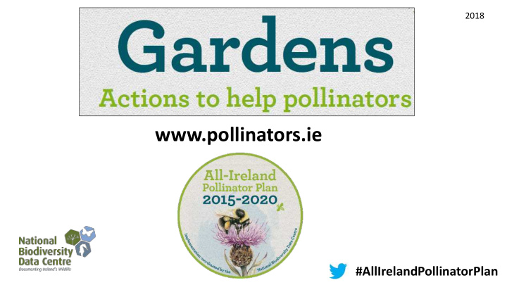 www pollinators ie