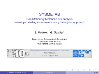 SYSMETAB  Non Stationary Metabolic flux analysis  in isotope labeling experiments using the adjoint