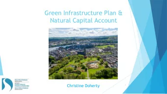 Green Infrastructure Plan &amp;  Natural Capital Account  Christine Doherty  1  Introduction  What