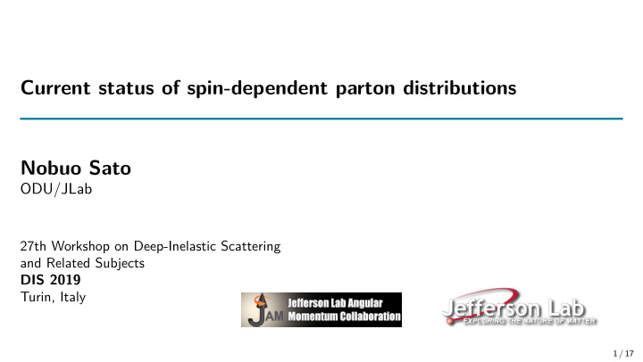 current status of spin dependent parton distributions