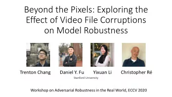 Beyond the Pixels: Exploring the  Effect of Video File Corruptions  on Model Robustness  Trenton