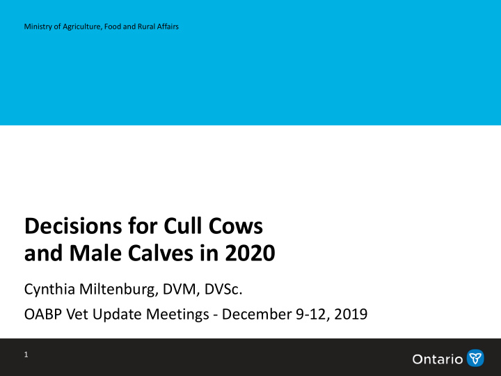 decisions for cull cows and male calves in 2020