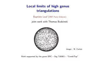Local limits of high genus  triangulations Baptiste Louf ( IRIF Paris Diderot)  joint work with