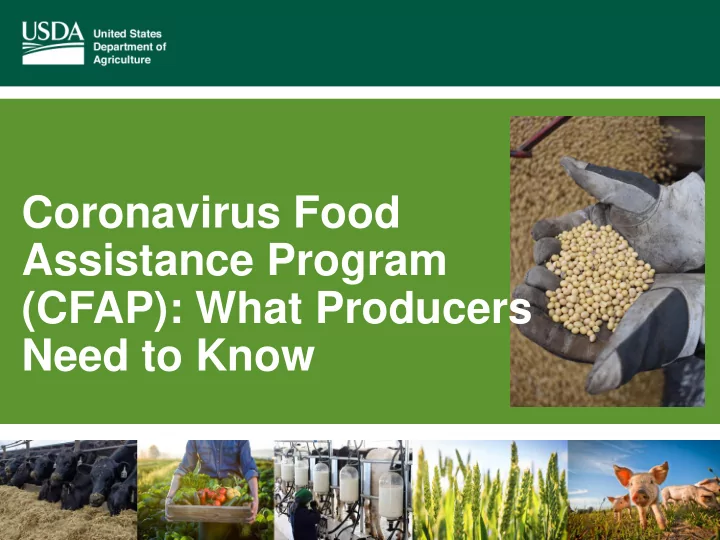 assistance program