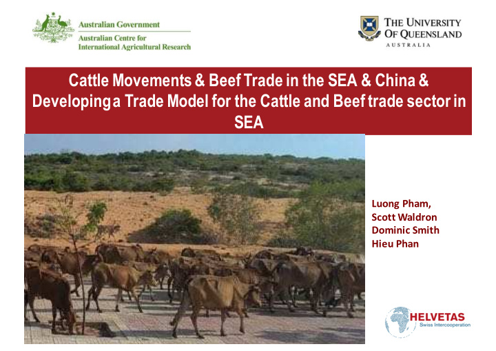 cattle movements amp beef trade in the sea amp china amp