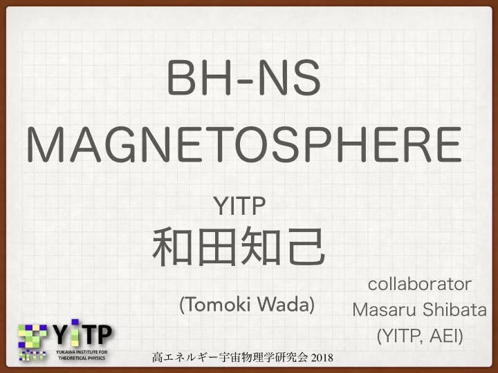 bh ns magnetosphere