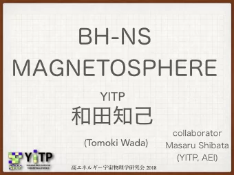 BH-NS  MAGNETOSPHERE    collaborator Masaru Shibata   (YITP, AEI)  YITP  (Tomoki