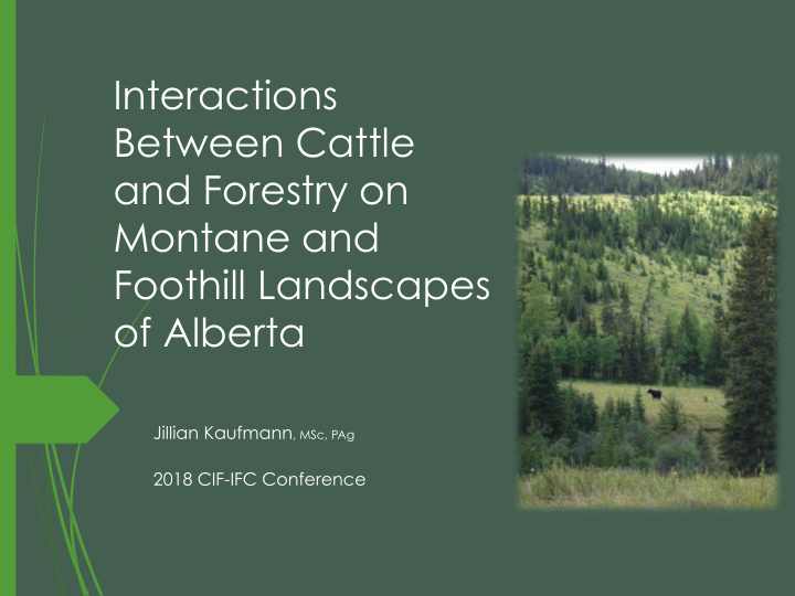 interactions between cattle and forestry on montane and