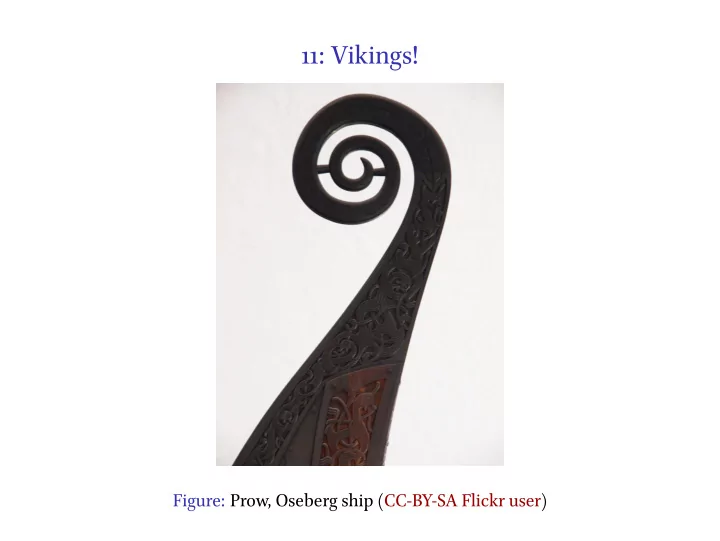 11 vikings