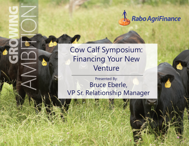cow calf symposium financing your new venture