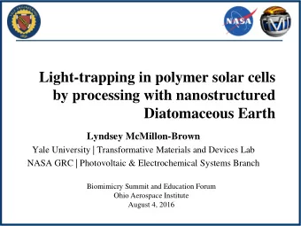 Light-trapping in polymer solar cells  by processing with nanostructured  Diatomaceous Earth