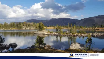 D  r  o  u  g  h 33.6 -45.5  33.6  -45.5  11 years  5.4 years  11 years  5.4 years  years  t