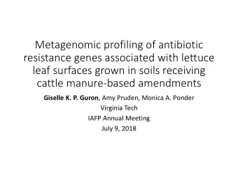 resistance genes associated with lettuce  leaf surfaces grown in soils receiving  cattle