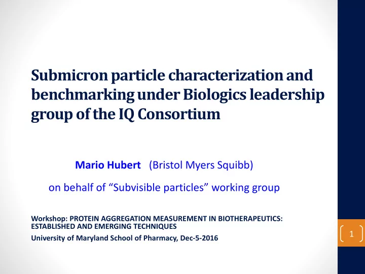 submicron particle characterization and