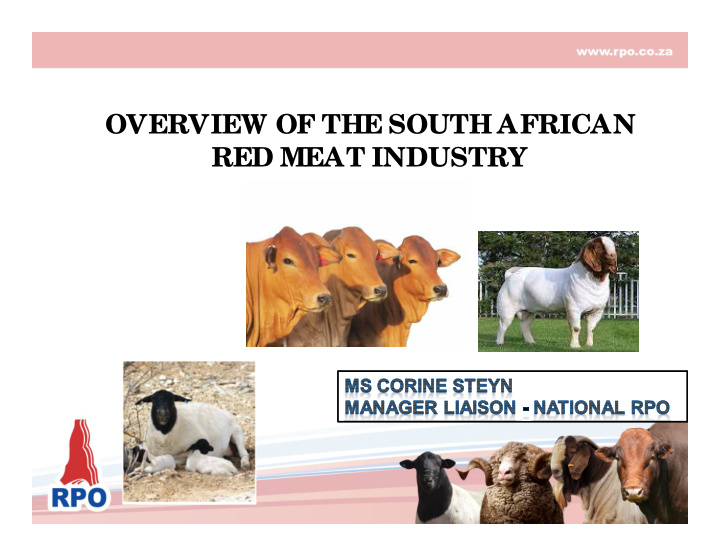 overview of the south african red meat industry