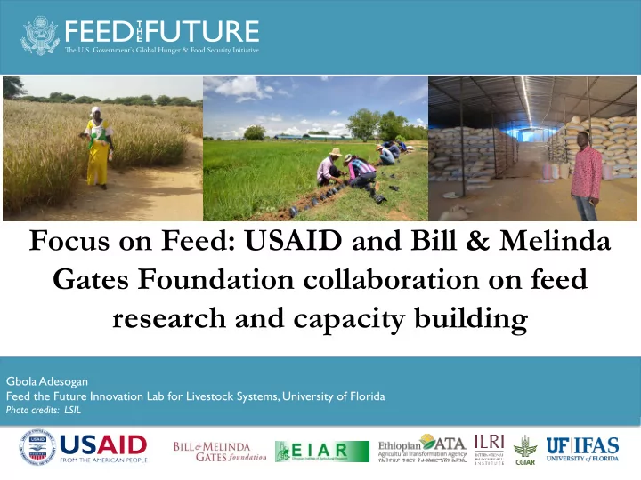 fed the future innovation lab for livestock systems focus