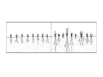 Come up with your own definition of  the theory of evolution through  natural selection  Natural