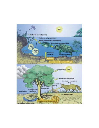 Unit NPP  Total NPP  ocean total  upwelling  open ocean  coastal ocean  coastal ocean  open ocean