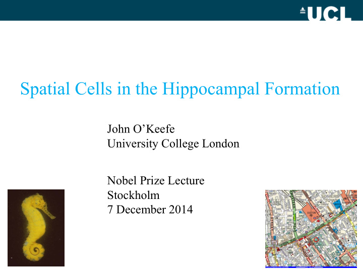 spatial cells in the hippocampal formation