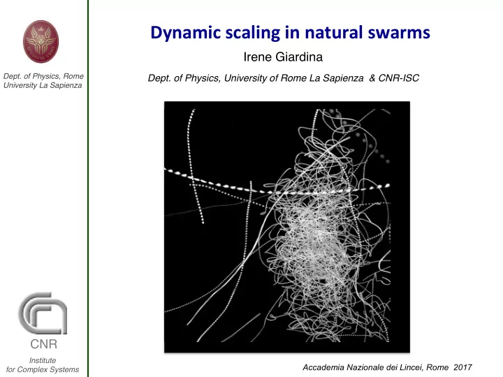 dynamic scaling in natural swarms
