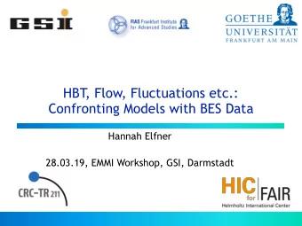 HBT , Flow, Fluctuations etc.:   Confronting Models with BES Data  Hannah Elfner  28.03.19, EMMI