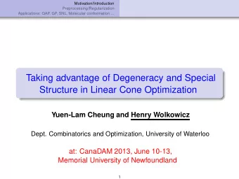 Taking advantage of Degeneracy and Special  Structure in Linear Cone Optimization  Yuen-Lam Cheung