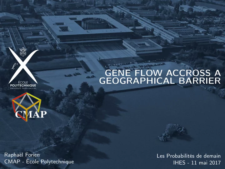 gene flow accross a geographical barrier
