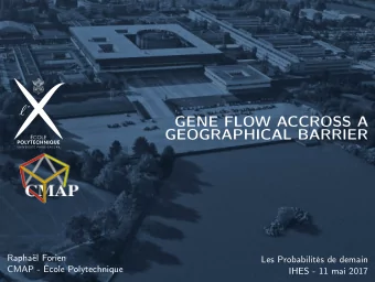 GENE FLOW ACCROSS A  GEOGRAPHICAL BARRIER  Raphal Forien  Les Probabilits de demain  CMAP -