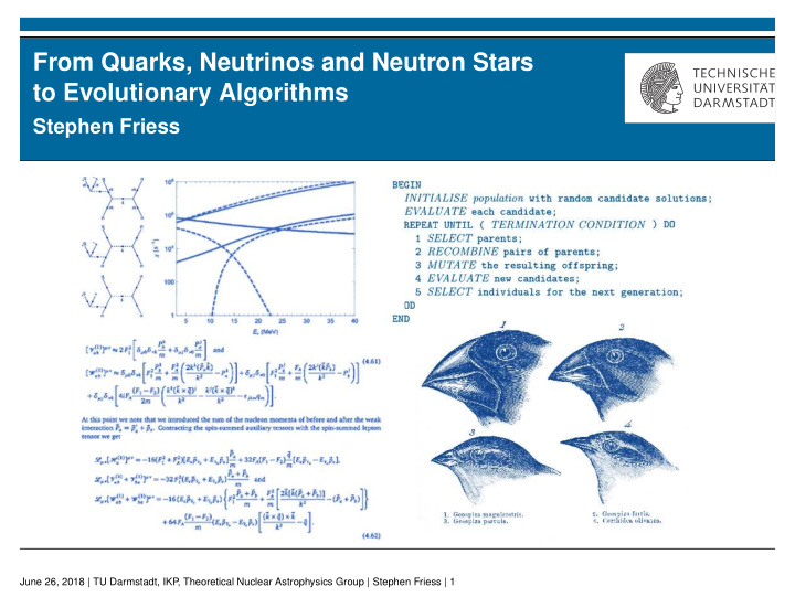 from quarks neutrinos and neutron stars to evolutionary
