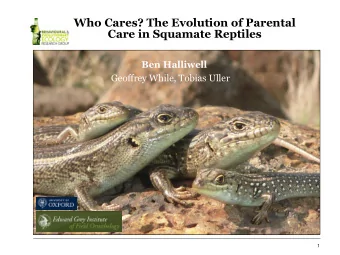 Who Cares? The Evolution of Parental  Care in Squamate Reptiles  Ben Halliwell  Geoffrey While,