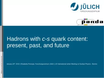 Hadrons with c-s quark content:  present, past, and future January 29 th , 2015 | Elisabetta