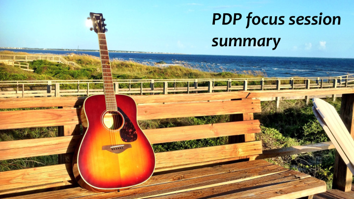 pdp focus session summary main outcomes of vista25 ng