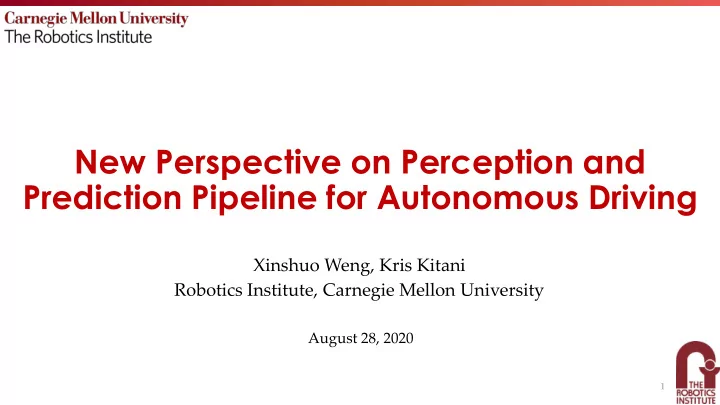 new perspective on perception and