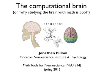 What is computational neuroscience?  1.  Use of mathematical/computational tools to study  the