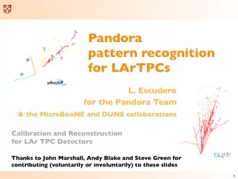 Pandora  pattern recognition      p  for LArTPCs    L. Escudero  for the Pandora Team &amp;