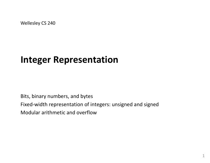 integer representation