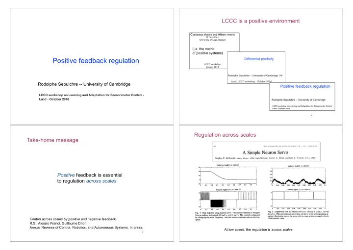 positive feedback regulation