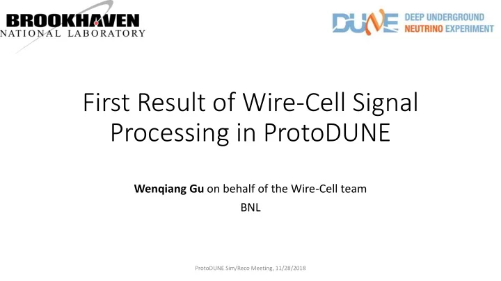 processing in protodune
